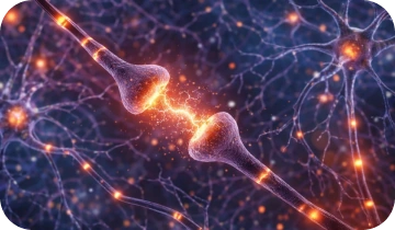 Illustration of glowing neurons and neural connections representing Phytomem One brain support